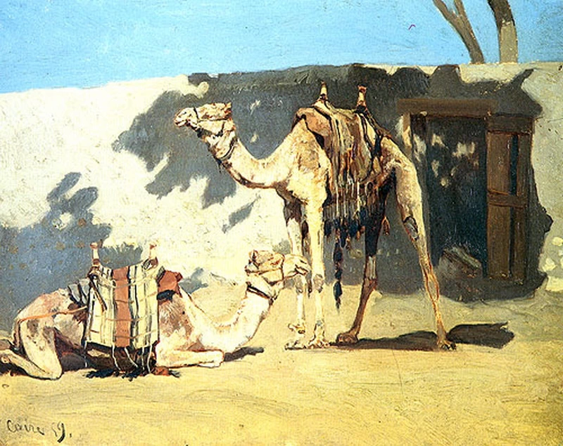Cammelli a riposo - Galleria d'arte moderna Ricci Oddi , Piacenza